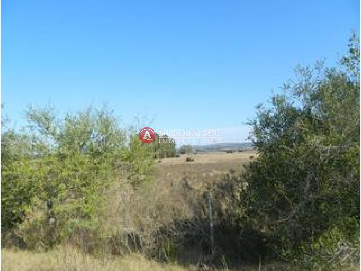 Campo Ref.6227 - Campo en Punta del Este, 