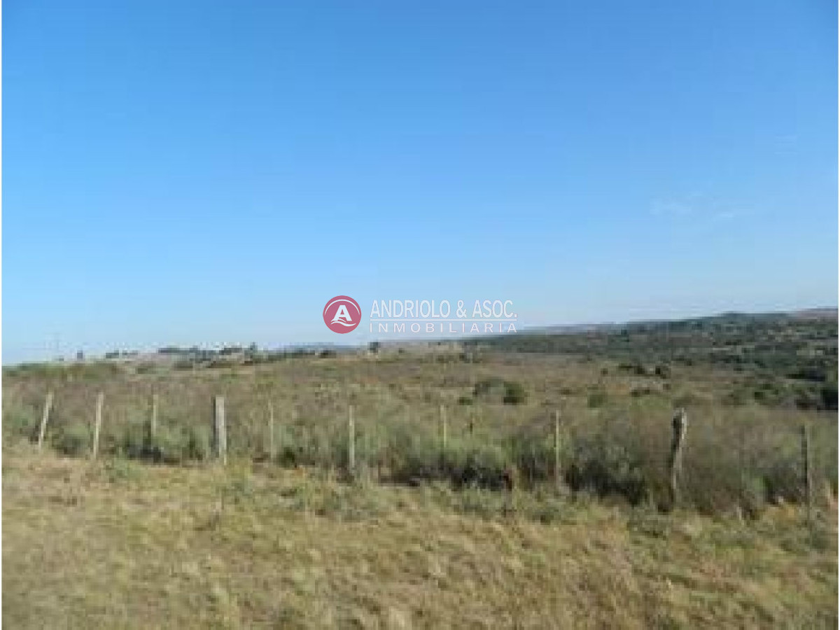 Campo Ref.6227 - Campo en Punta del Este, 