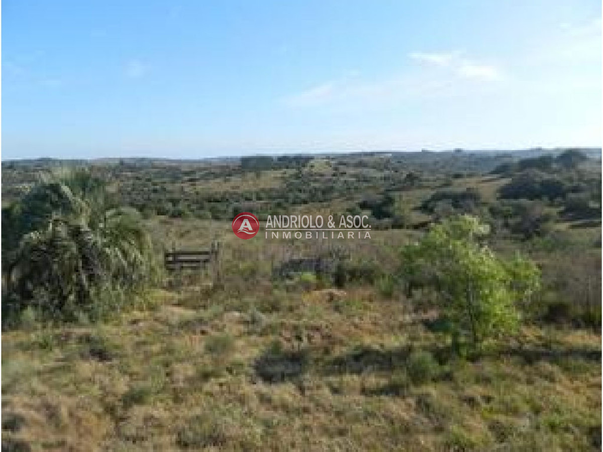 Campo Ref.6227 - Campo en Punta del Este, 