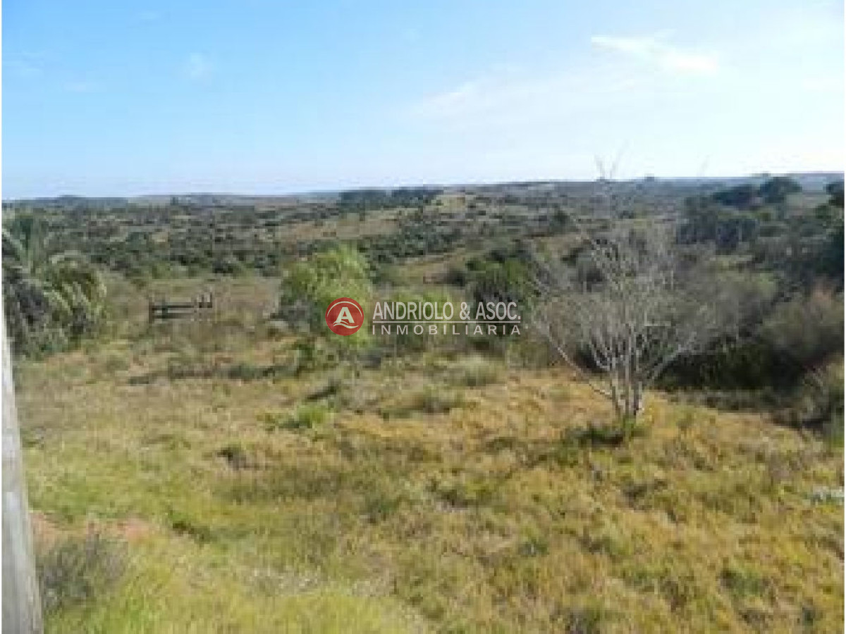 Campo Ref.6227 - Campo en Punta del Este, 