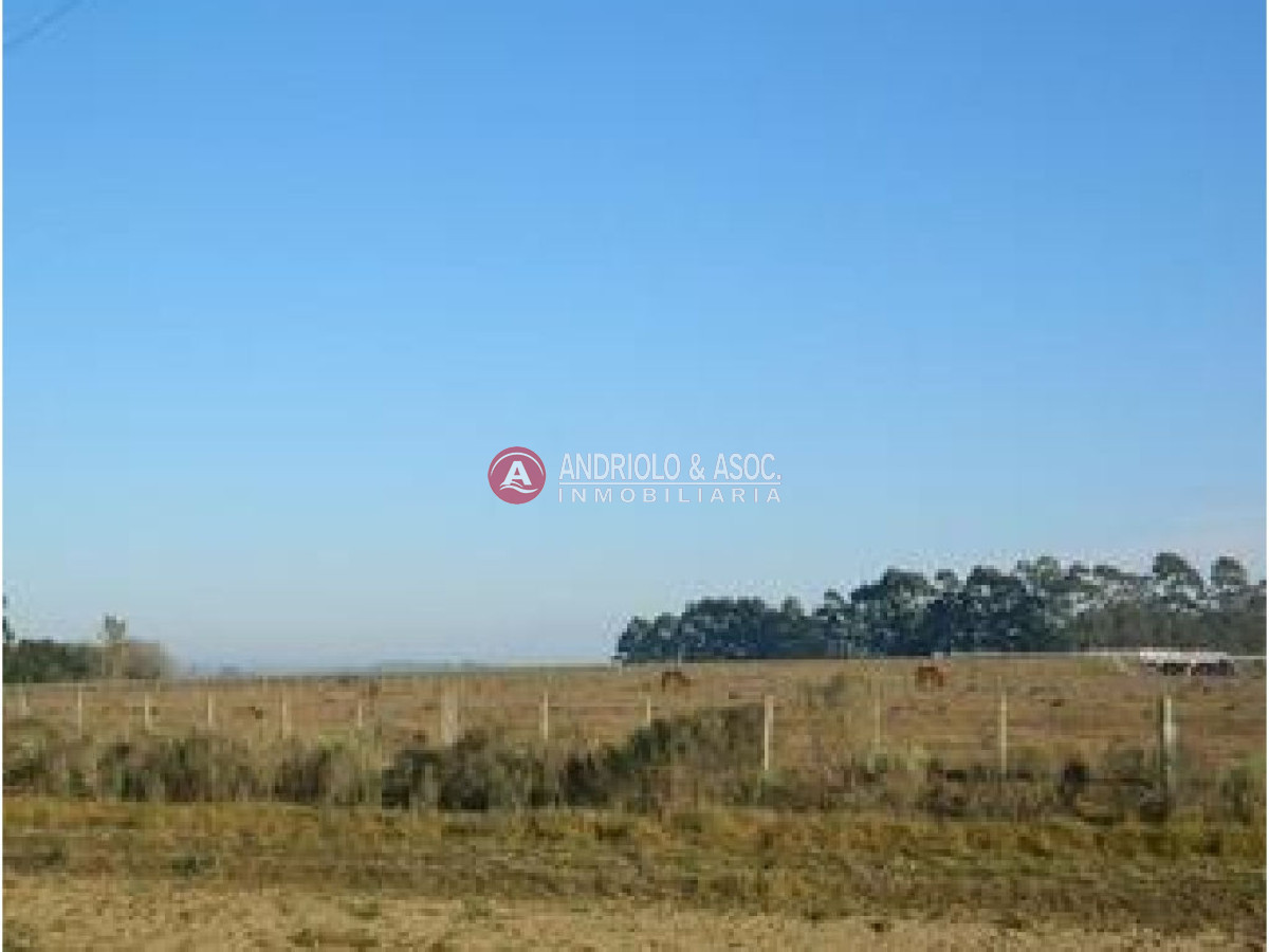 Campo Ref.6228 - Campo en Punta del Este, 