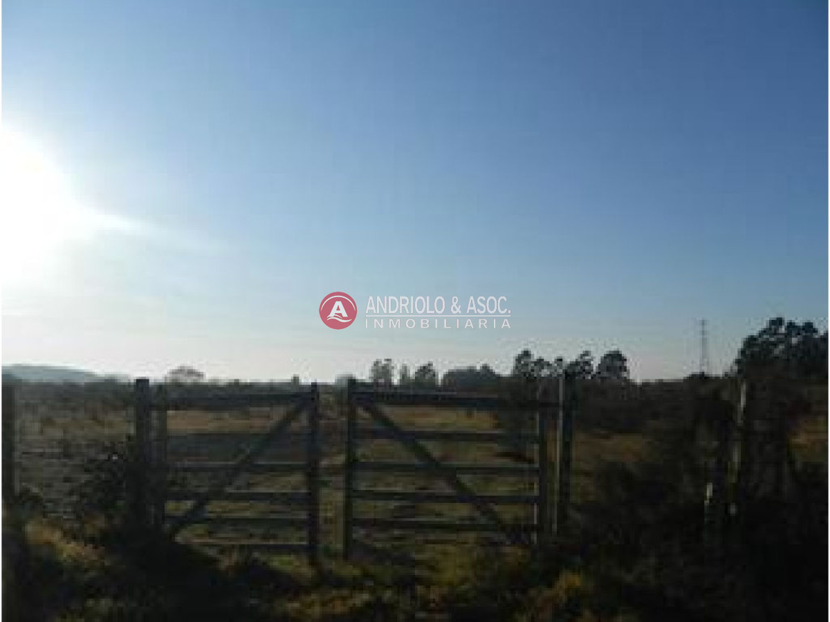 Campo Ref.6228 - Campo en Punta del Este, 