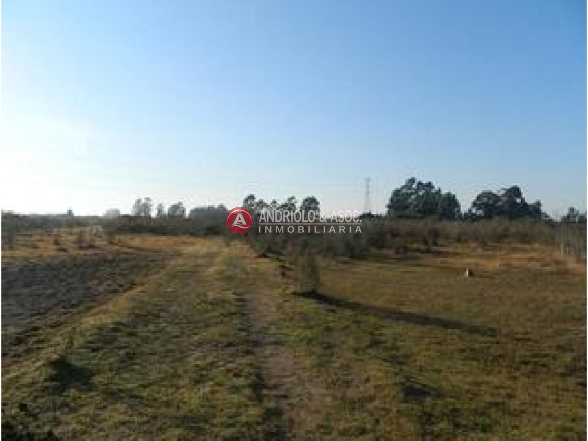 Campo Ref.6228 - Campo en Punta del Este, 