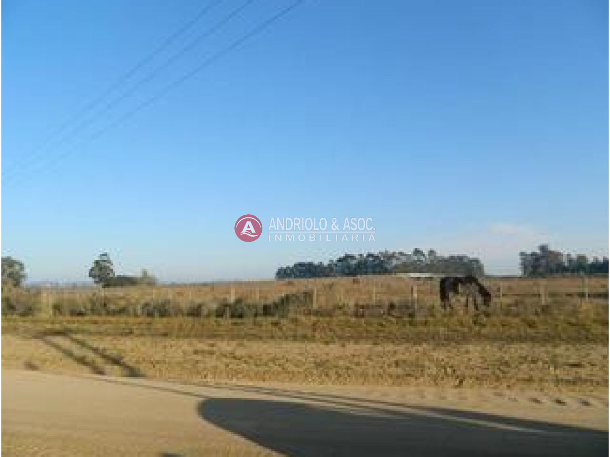 Campo Ref.6228 - Campo en Punta del Este, 