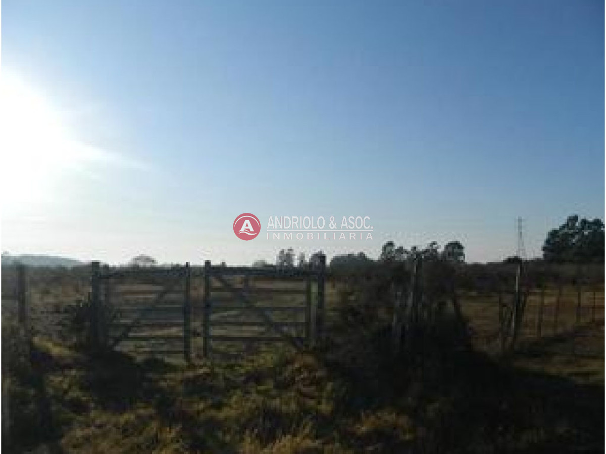 Campo Ref.6228 - Campo en Punta del Este, 