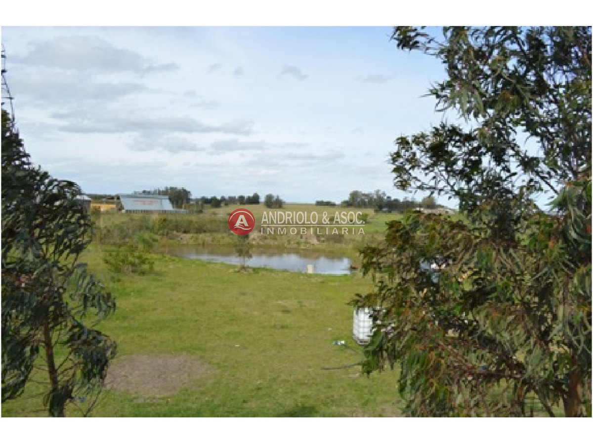 Campo Ref.6230 - Campo en Punta del Este, 