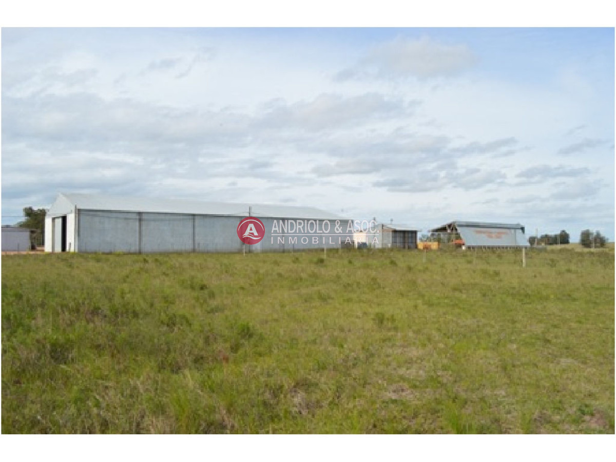 Campo Ref.6230 - Campo en Punta del Este, 