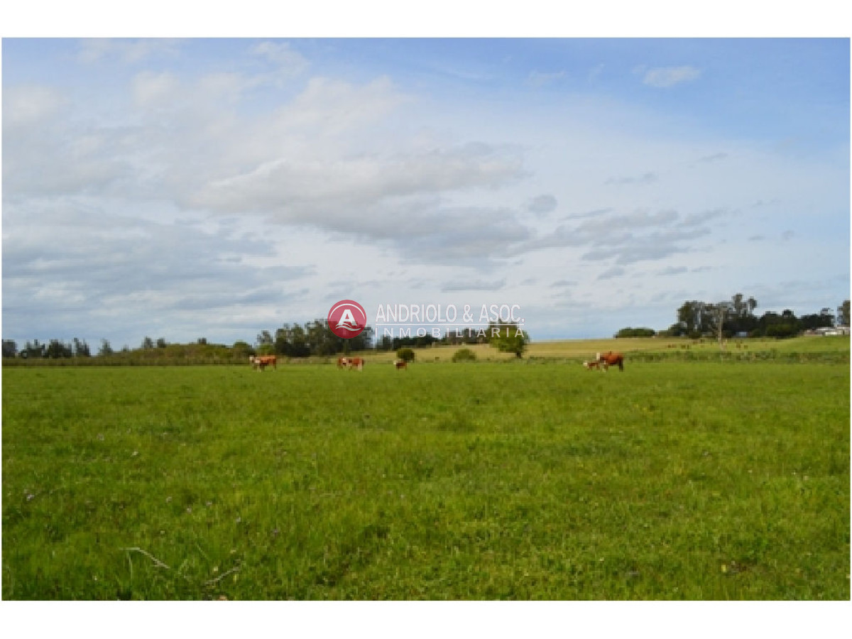 Campo Ref.6230 - Campo en Punta del Este, 