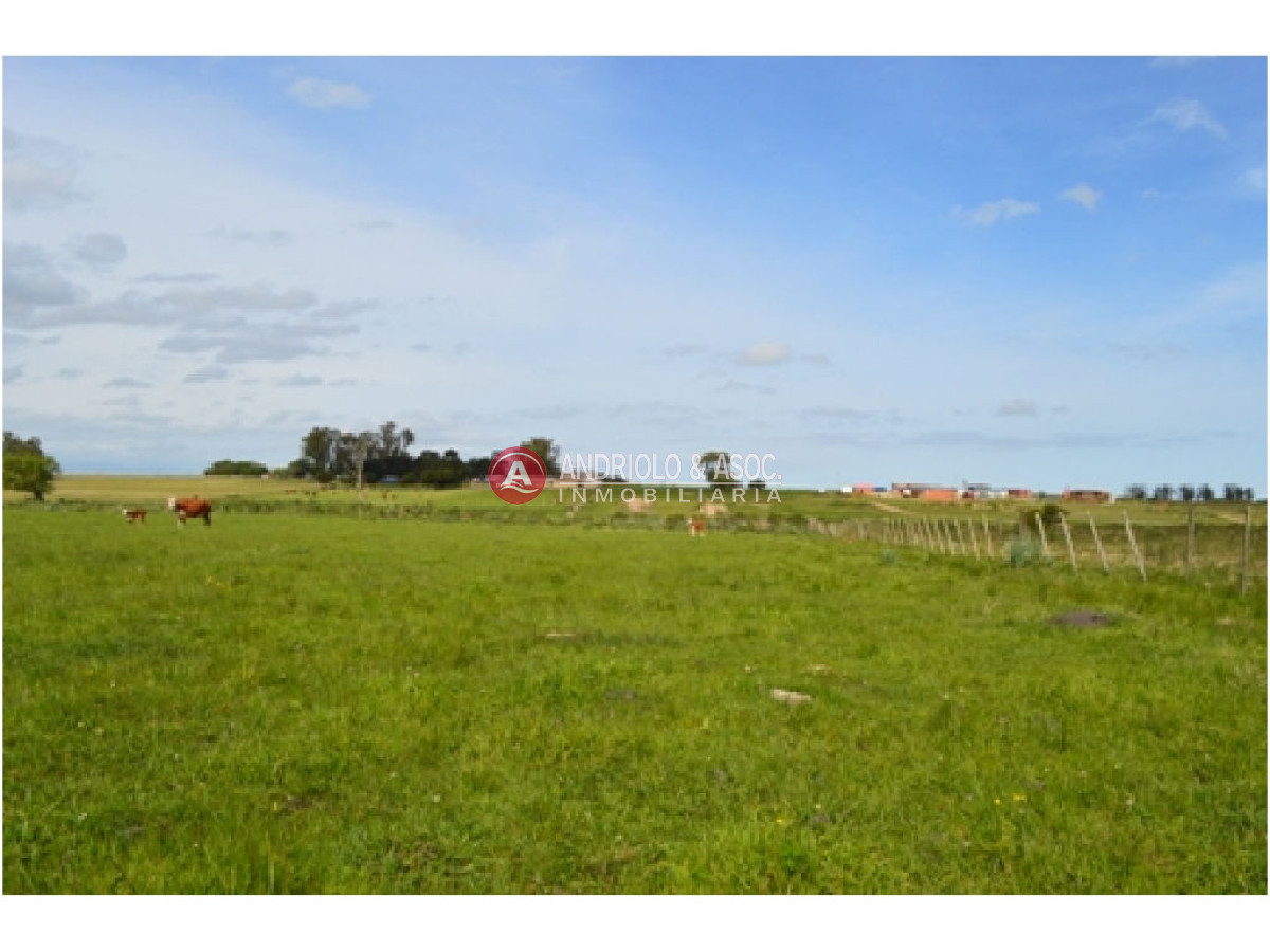 Campo Ref.6230 - Campo en Punta del Este, 