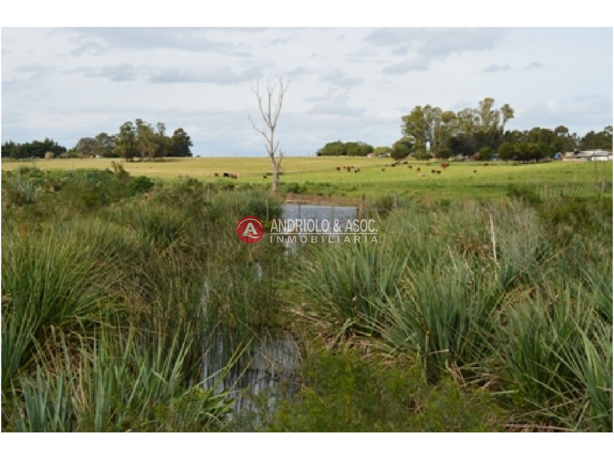 Campo Ref.6230 - Campo en Punta del Este, 