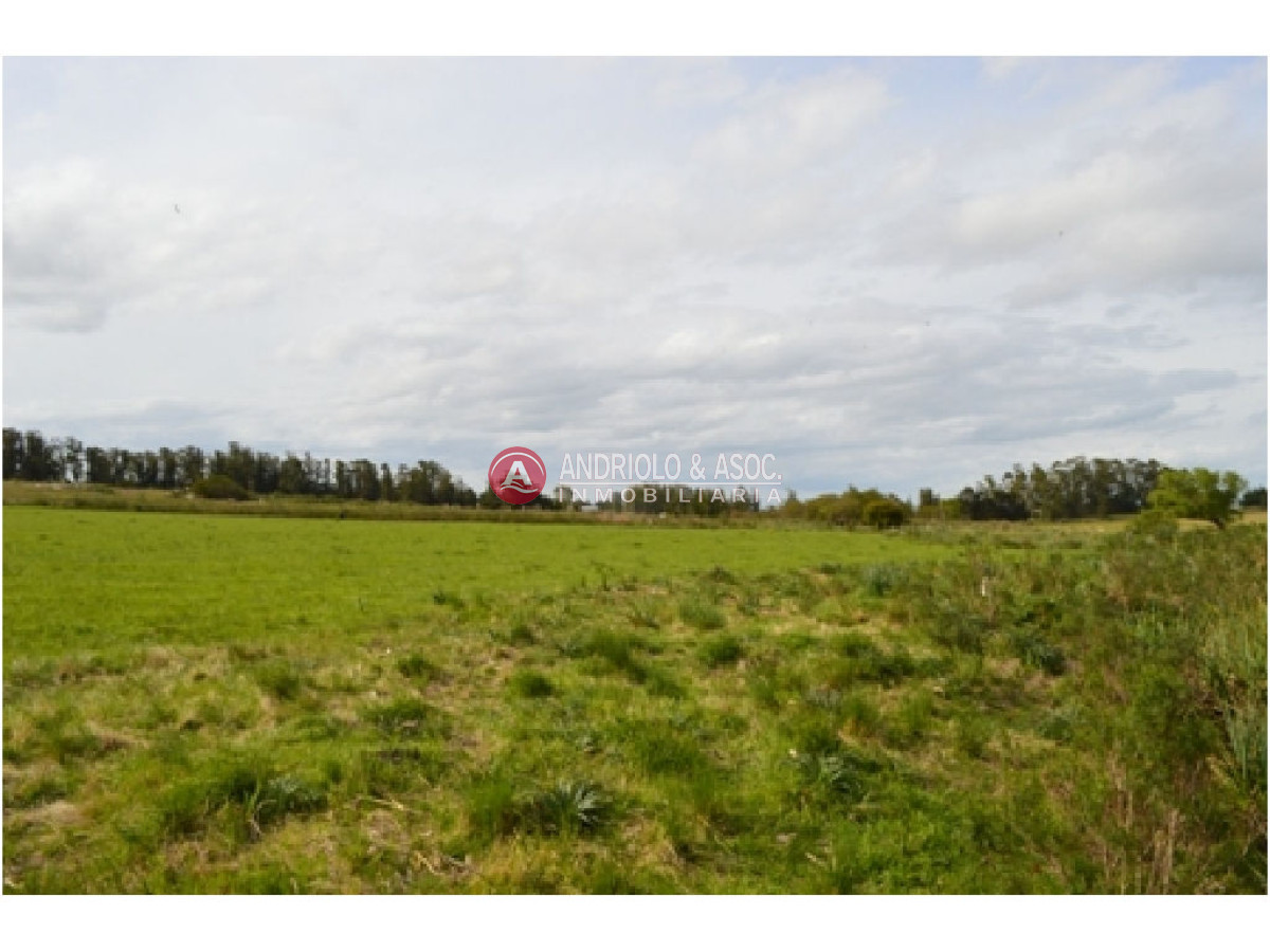 Campo Ref.6230 - Campo en Punta del Este, 