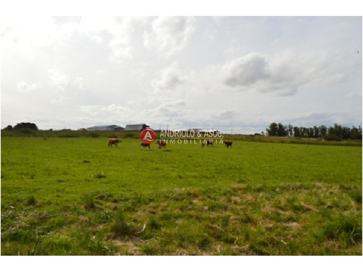 Campo Ref.6230 - Campo en Punta del Este, 