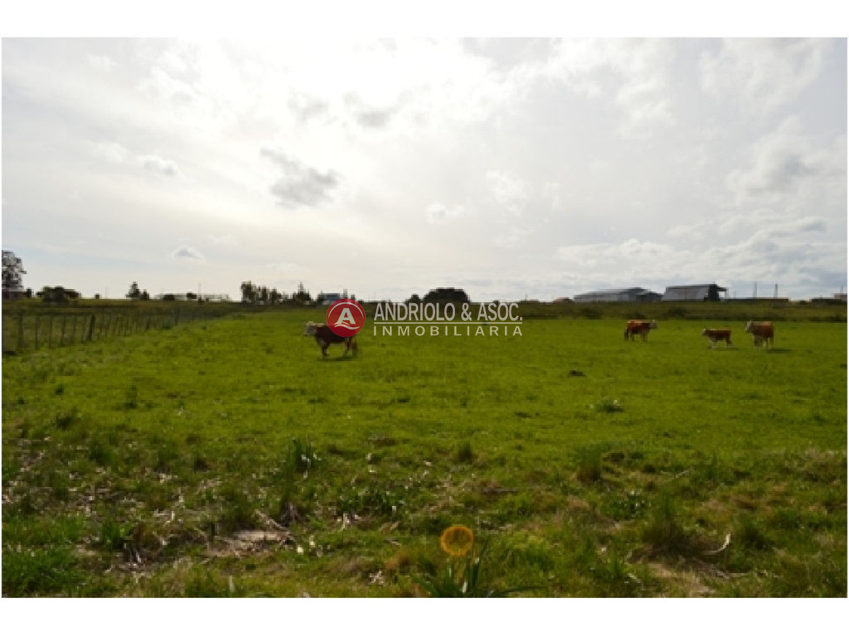 Campo Ref.6230 - Campo en Punta del Este, 