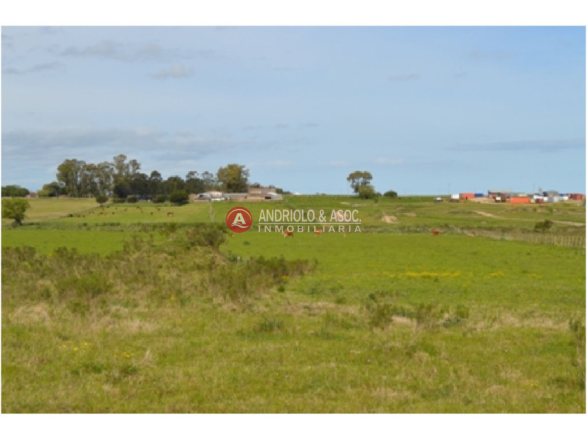 Campo Ref.6230 - Campo en Punta del Este, 