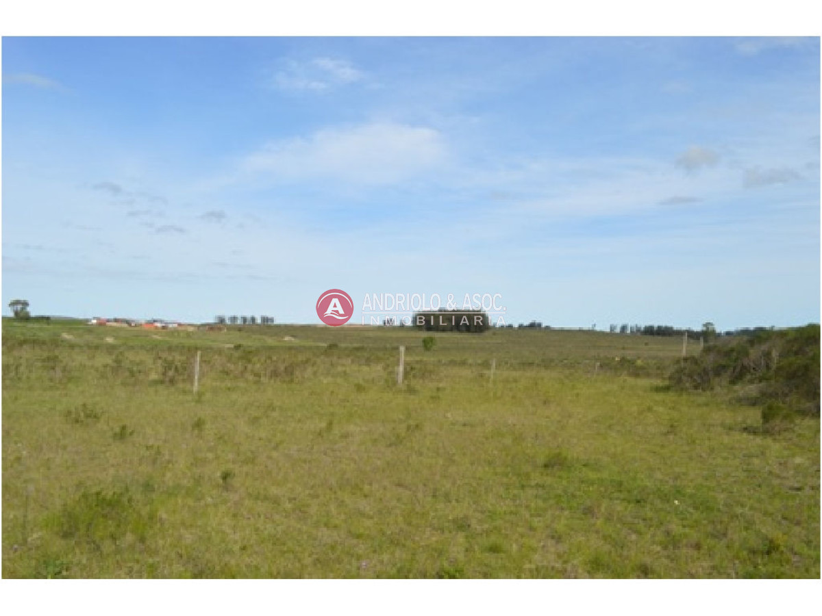 Campo Ref.6230 - Campo en Punta del Este, 