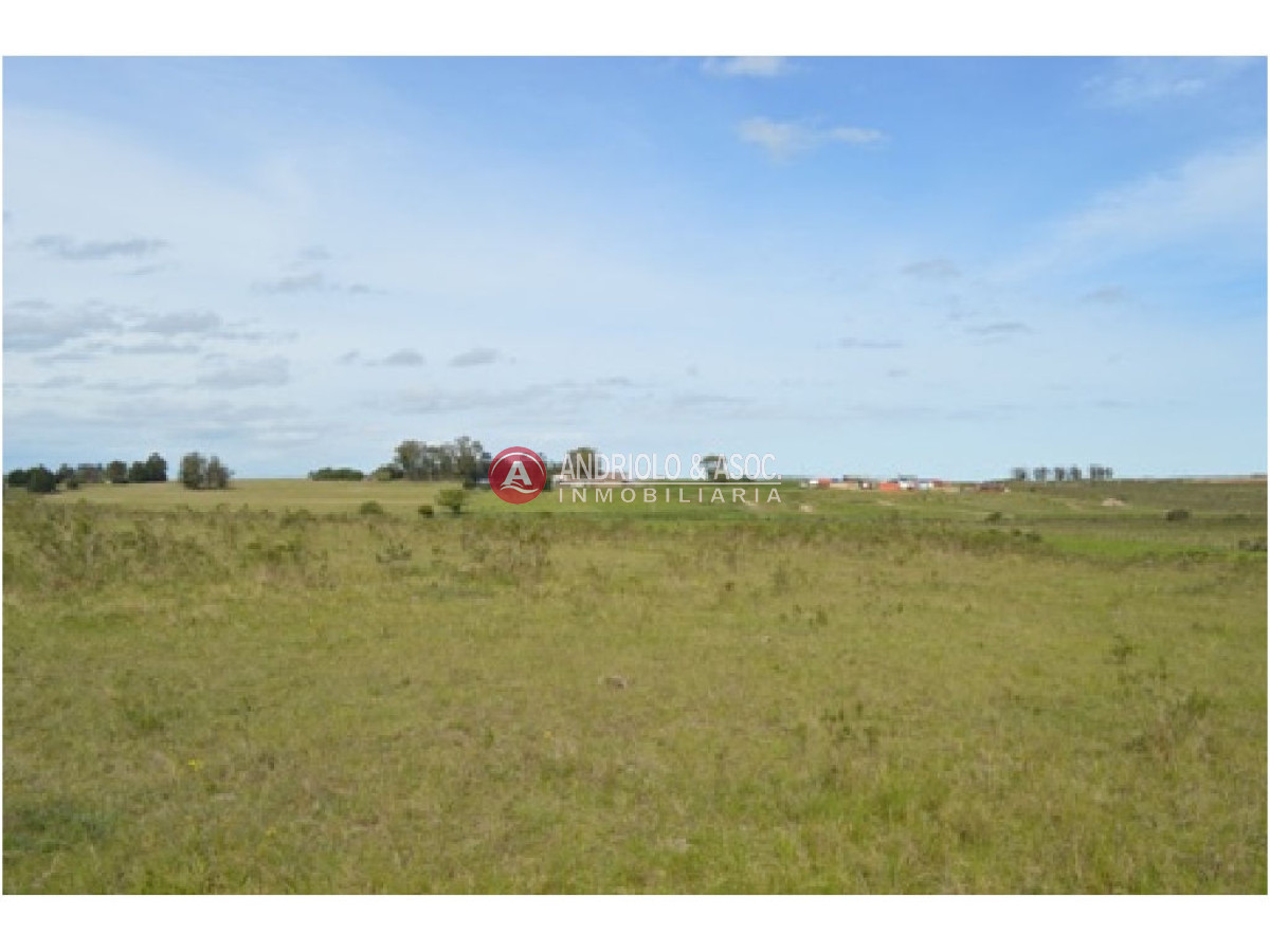 Campo Ref.6230 - Campo en Punta del Este, 