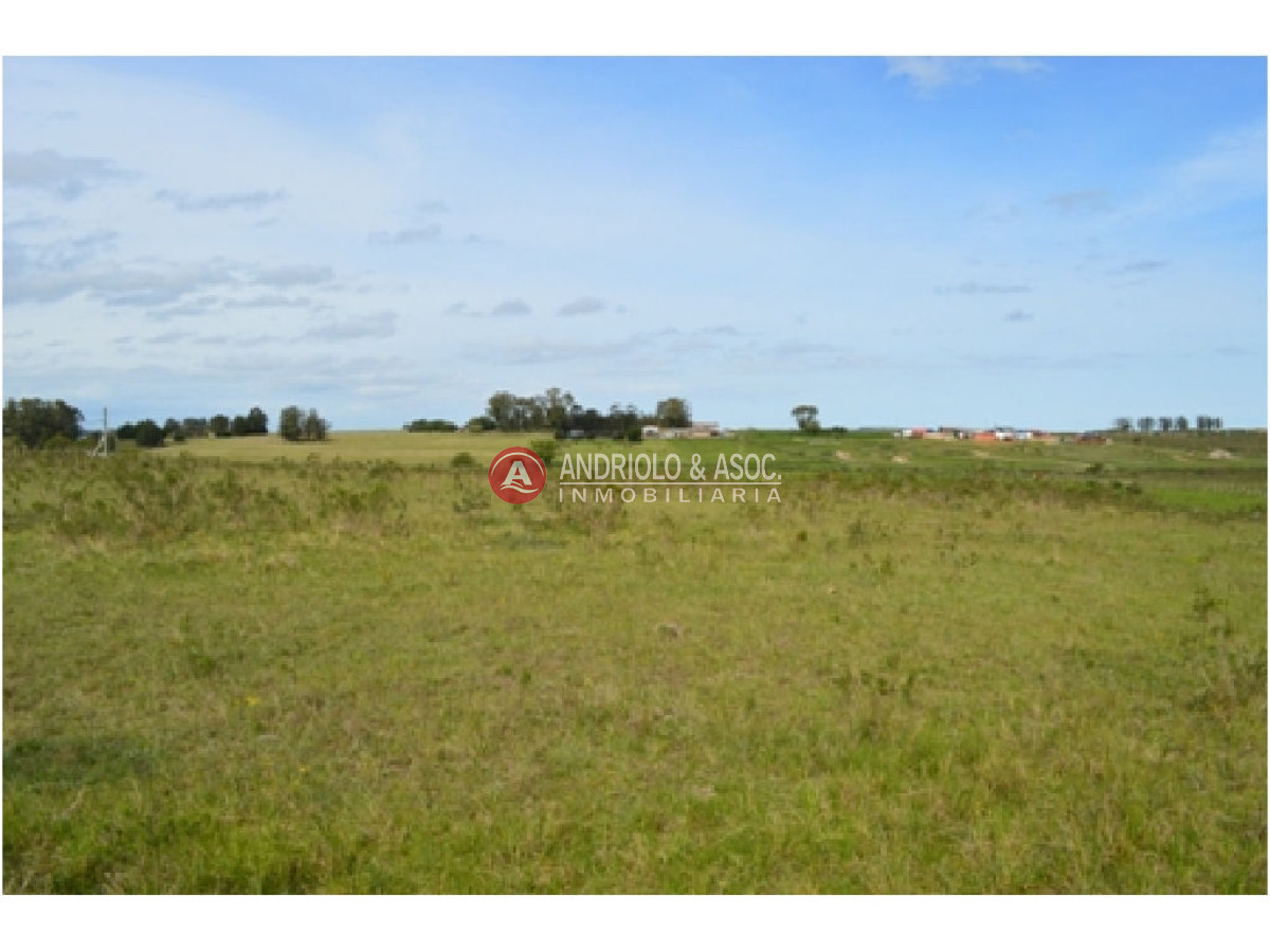 Campo Ref.6230 - Campo en Punta del Este, 