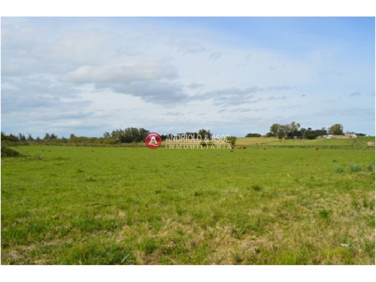 Campo Ref.6230 - Campo en Punta del Este, 