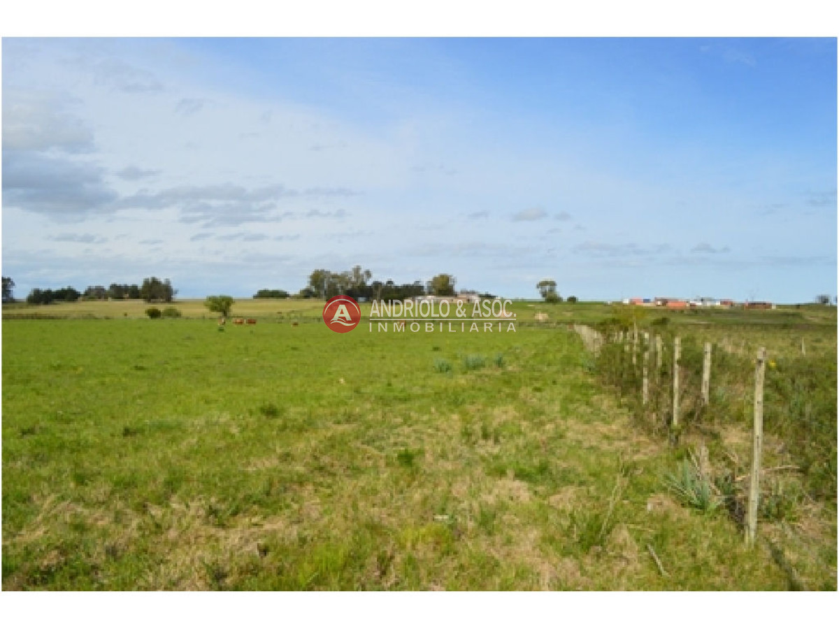 Campo Ref.6230 - Campo en Punta del Este, 