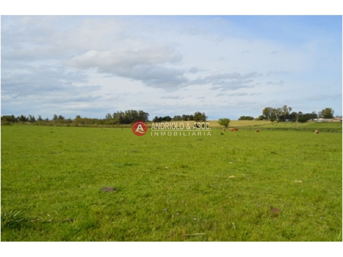 Campo Ref.6230 - Campo en Punta del Este, 