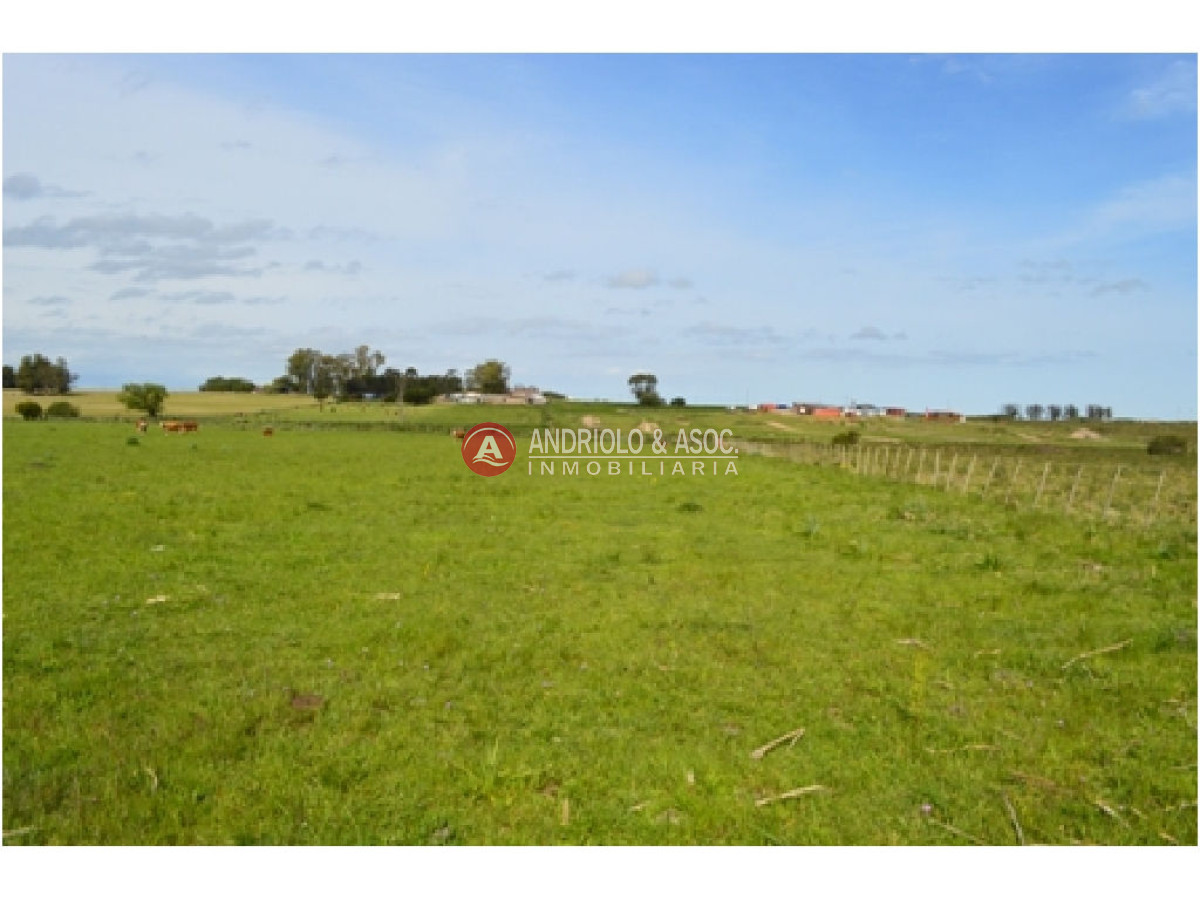 Campo Ref.6230 - Campo en Punta del Este, 