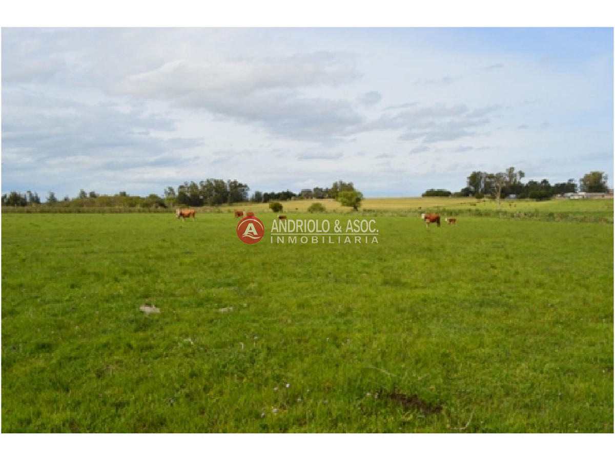 Campo Ref.6230 - Campo en Punta del Este, 