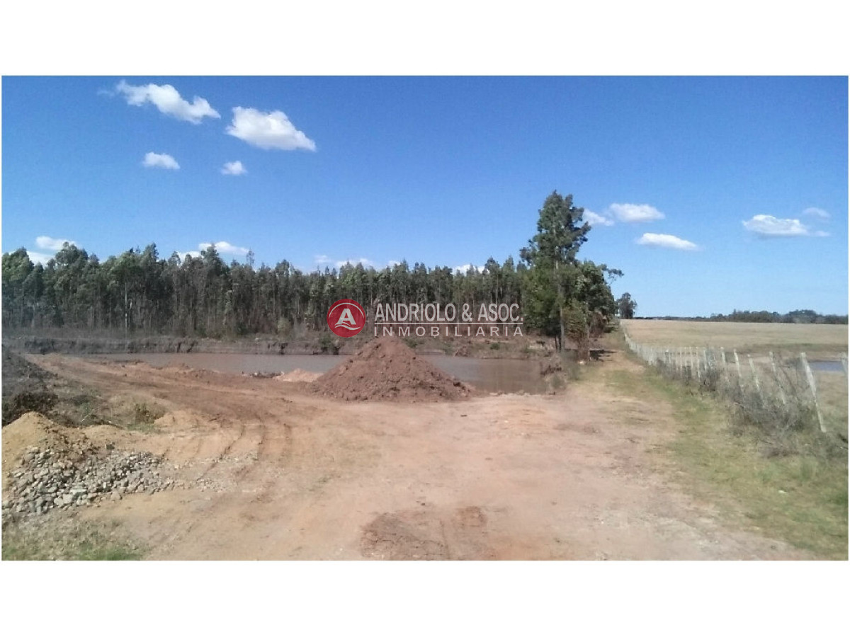 Campo Ref.6231 - Campo en Punta del Este, 