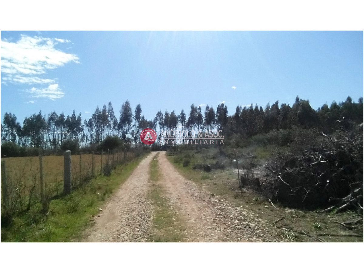 Campo Ref.6231 - Campo en Punta del Este, 