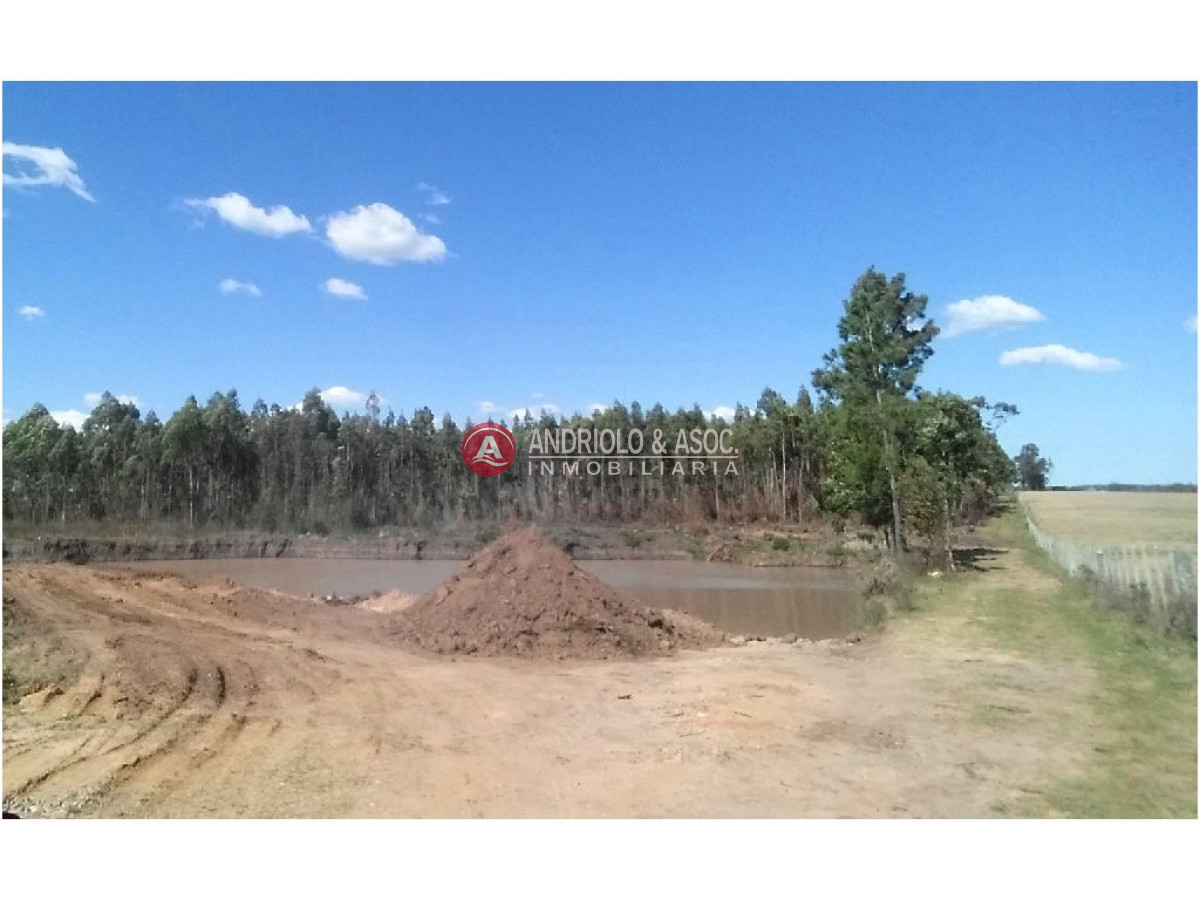 Campo Ref.6231 - Campo en Punta del Este, 