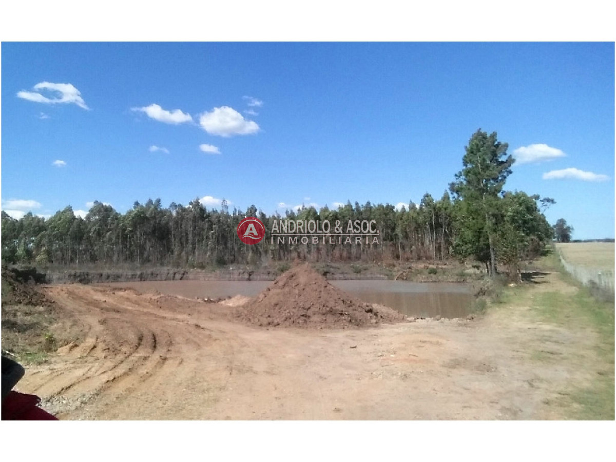 Campo Ref.6231 - Campo en Punta del Este, 