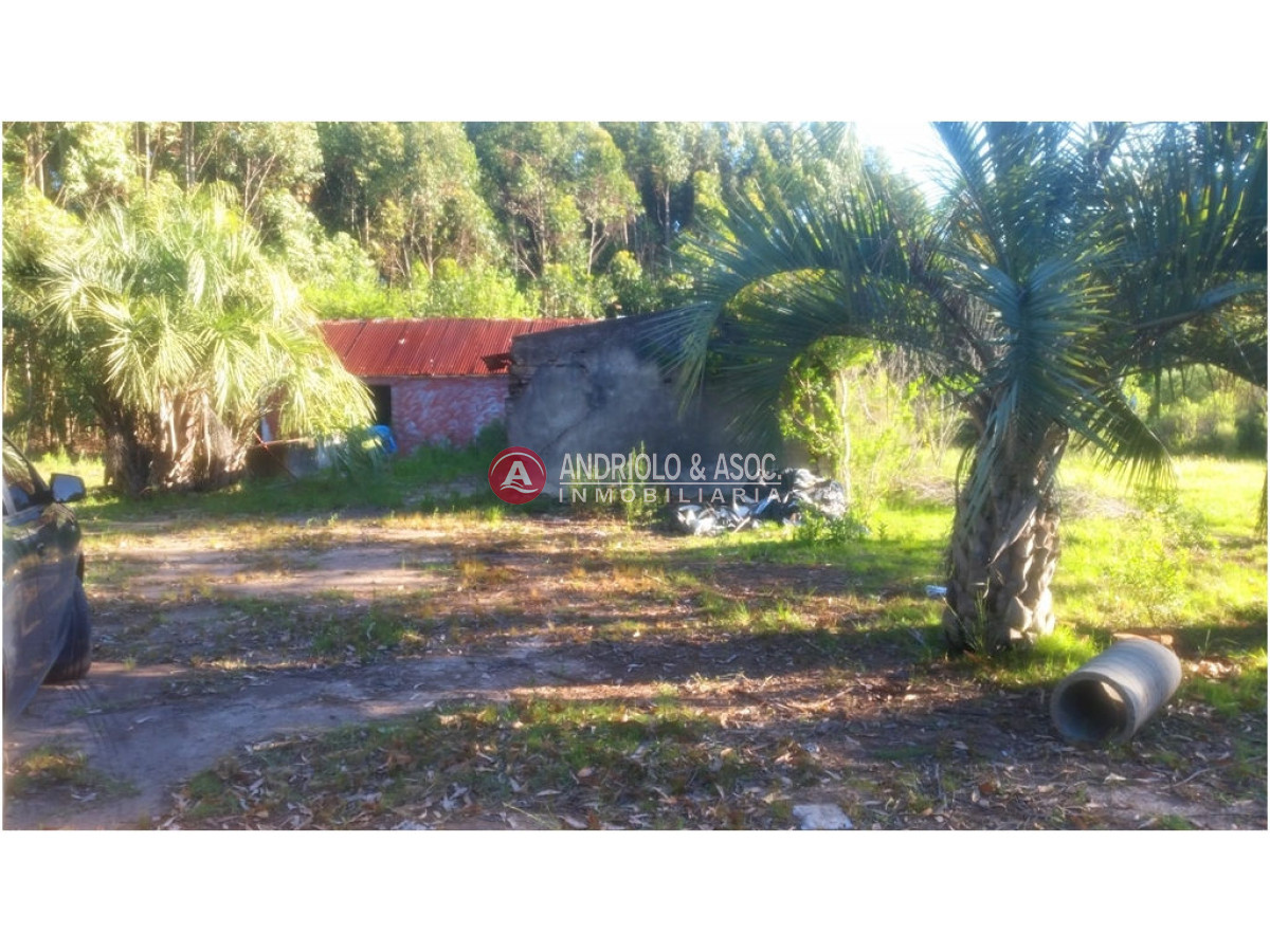 Campo Ref.6231 - Campo en Punta del Este, 