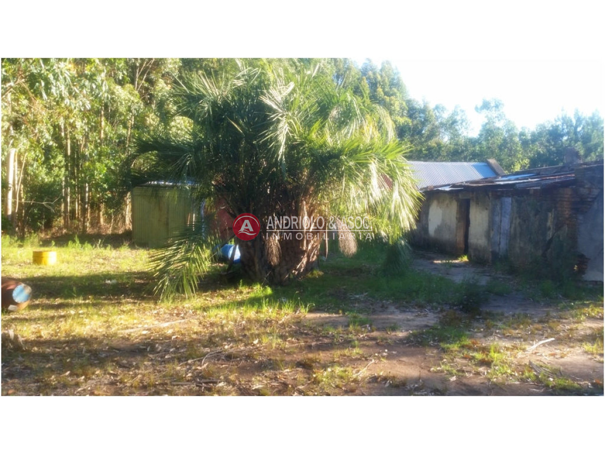Campo Ref.6231 - Campo en Punta del Este, 