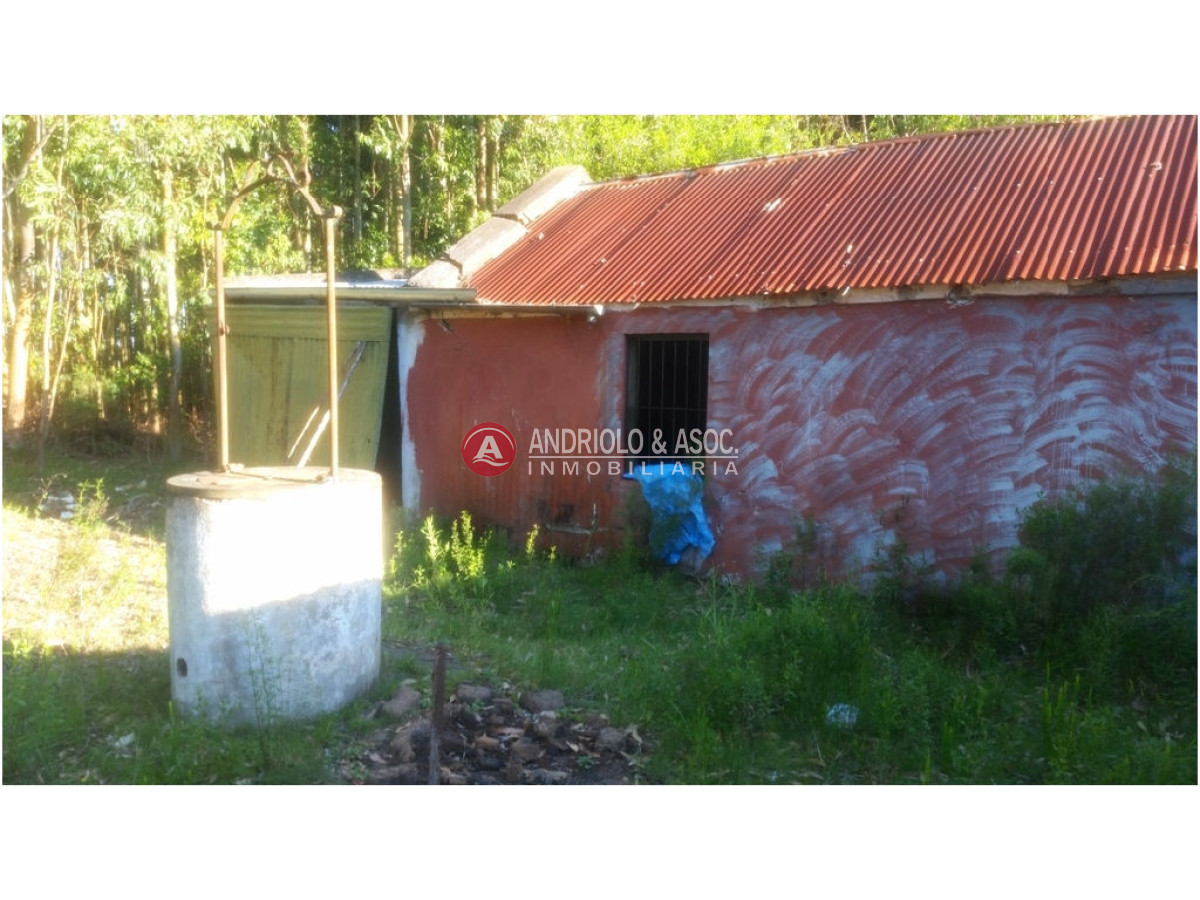 Campo Ref.6231 - Campo en Punta del Este, 