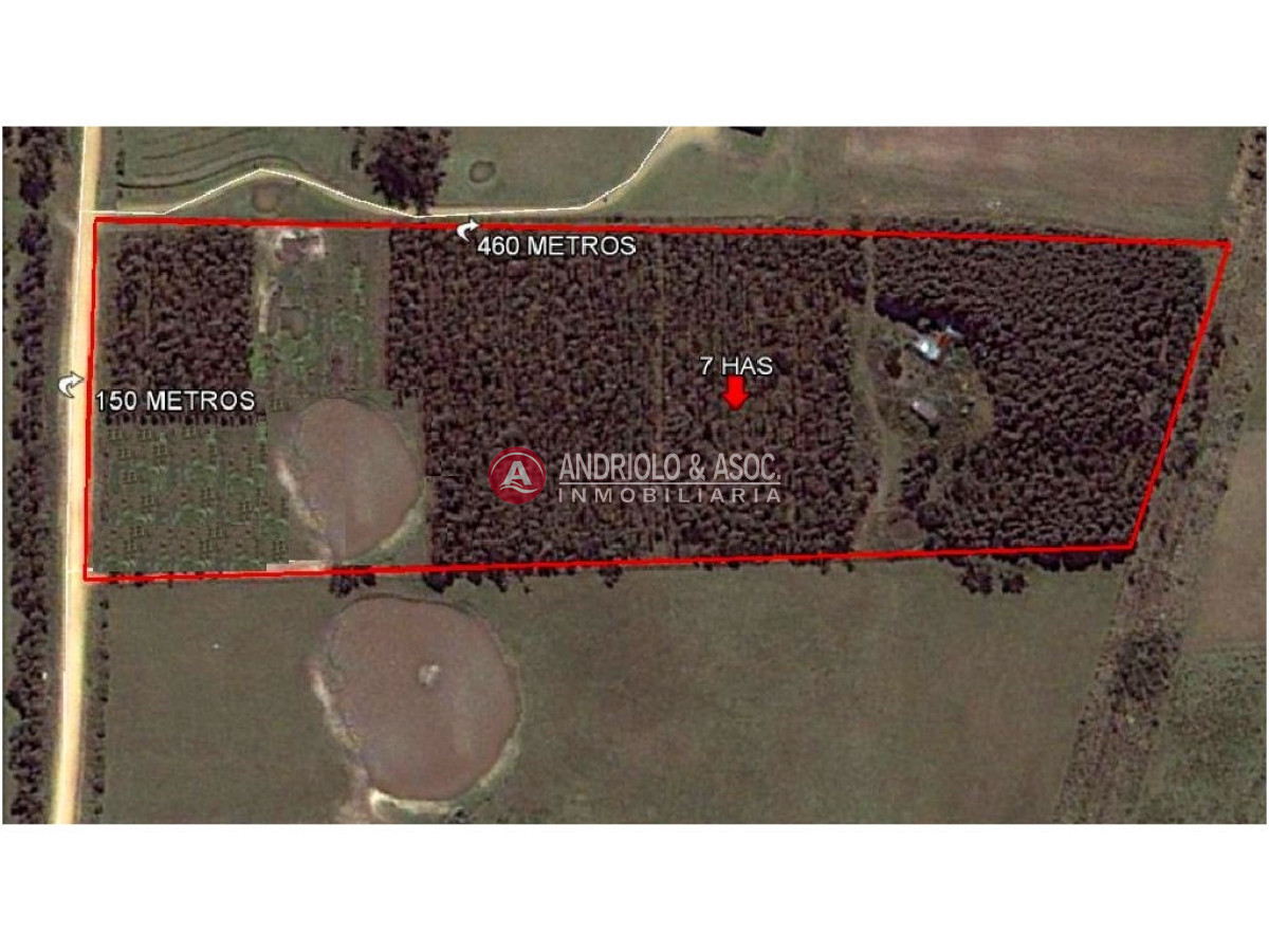 Campo Ref.6231 - Campo en Punta del Este, 
