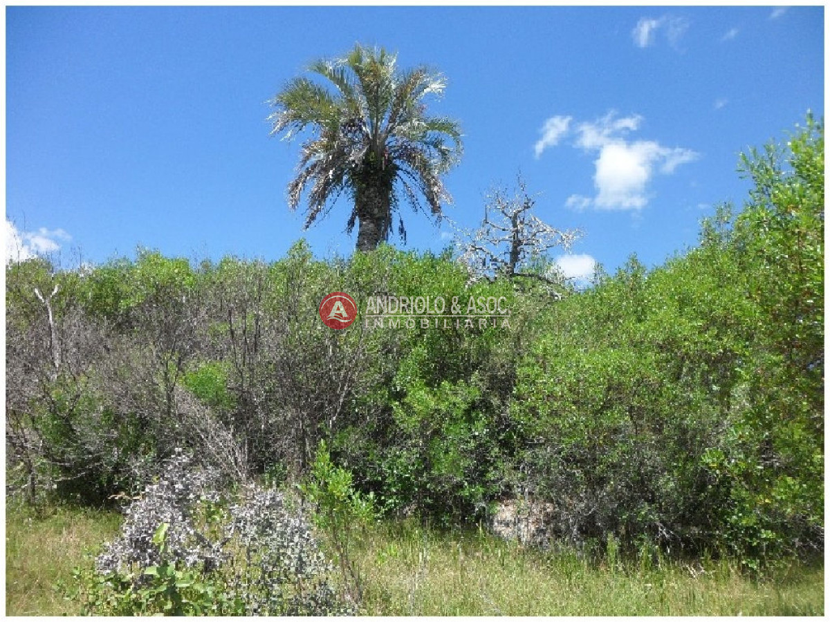 Campo Ref.6232 - Campo en Punta del Este, 