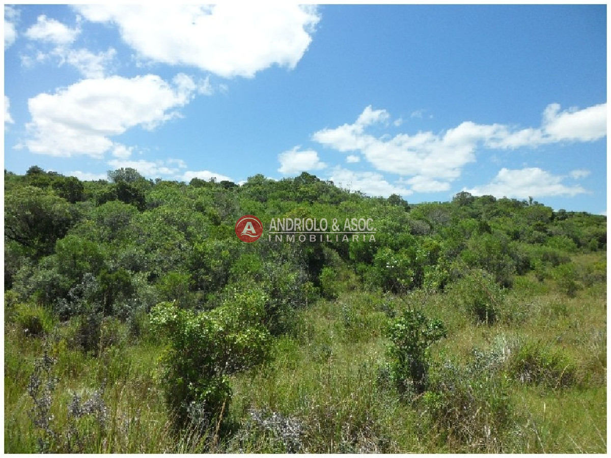 Campo Ref.6232 - Campo en Punta del Este, 