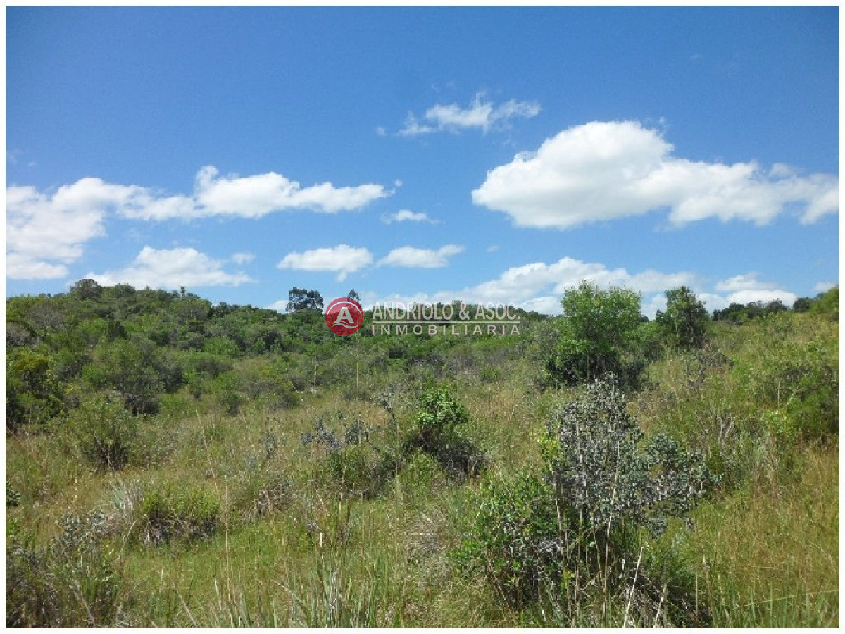 Campo Ref.6232 - Campo en Punta del Este, 