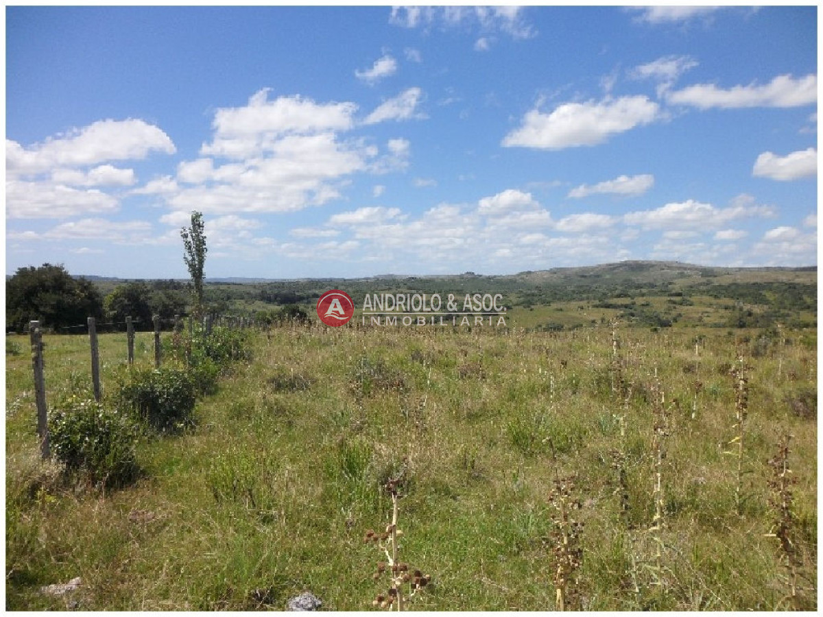 Campo Ref.6232 - Campo en Punta del Este, 