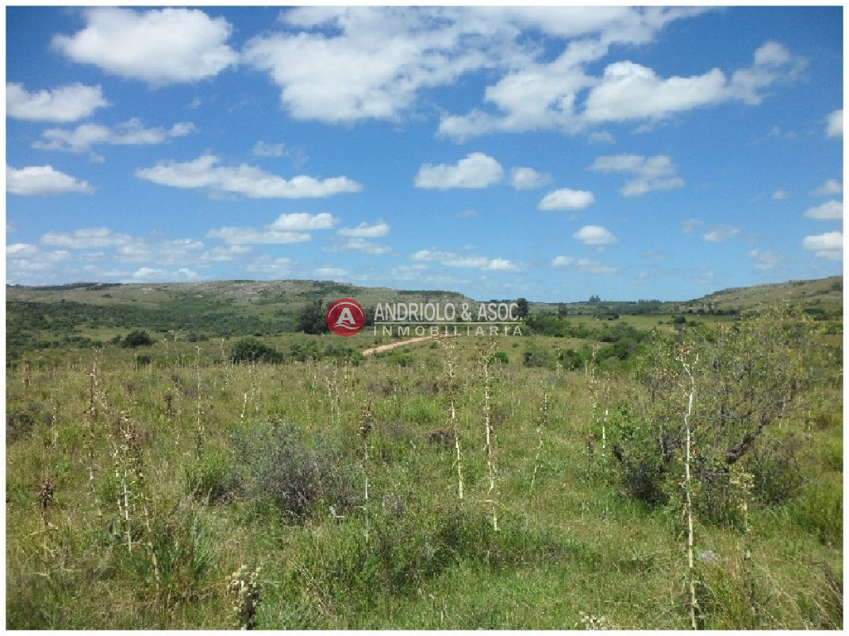 Campo Ref.6232 - Campo en Punta del Este, 