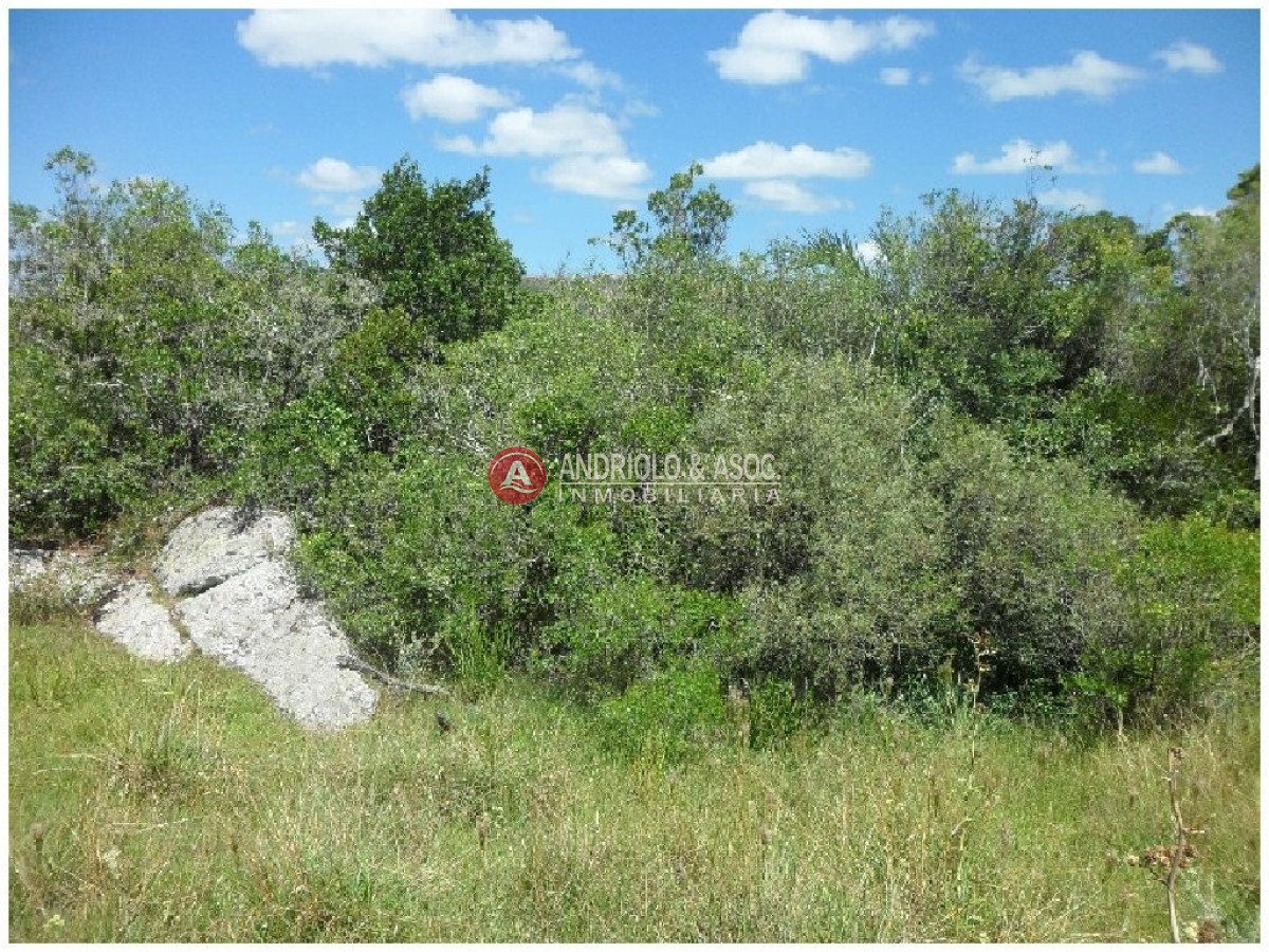 Campo Ref.6232 - Campo en Punta del Este, 
