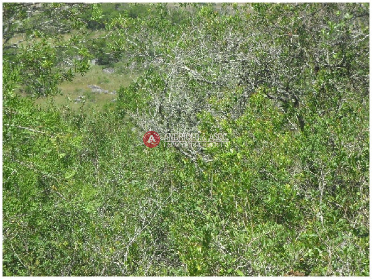 Campo Ref.6232 - Campo en Punta del Este, 