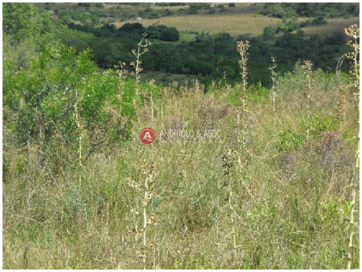 Campo Ref.6232 - Campo en Punta del Este, 