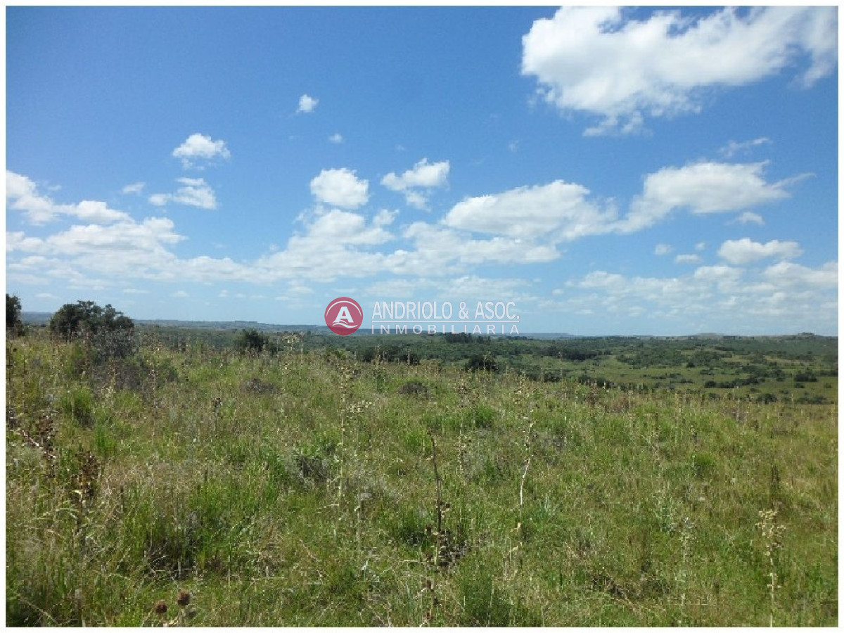 Campo Ref.6232 - Campo en Punta del Este, 