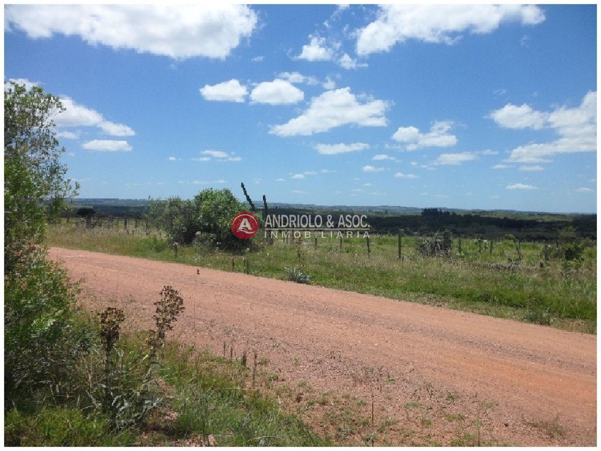 Campo Ref.6232 - Campo en Punta del Este, 