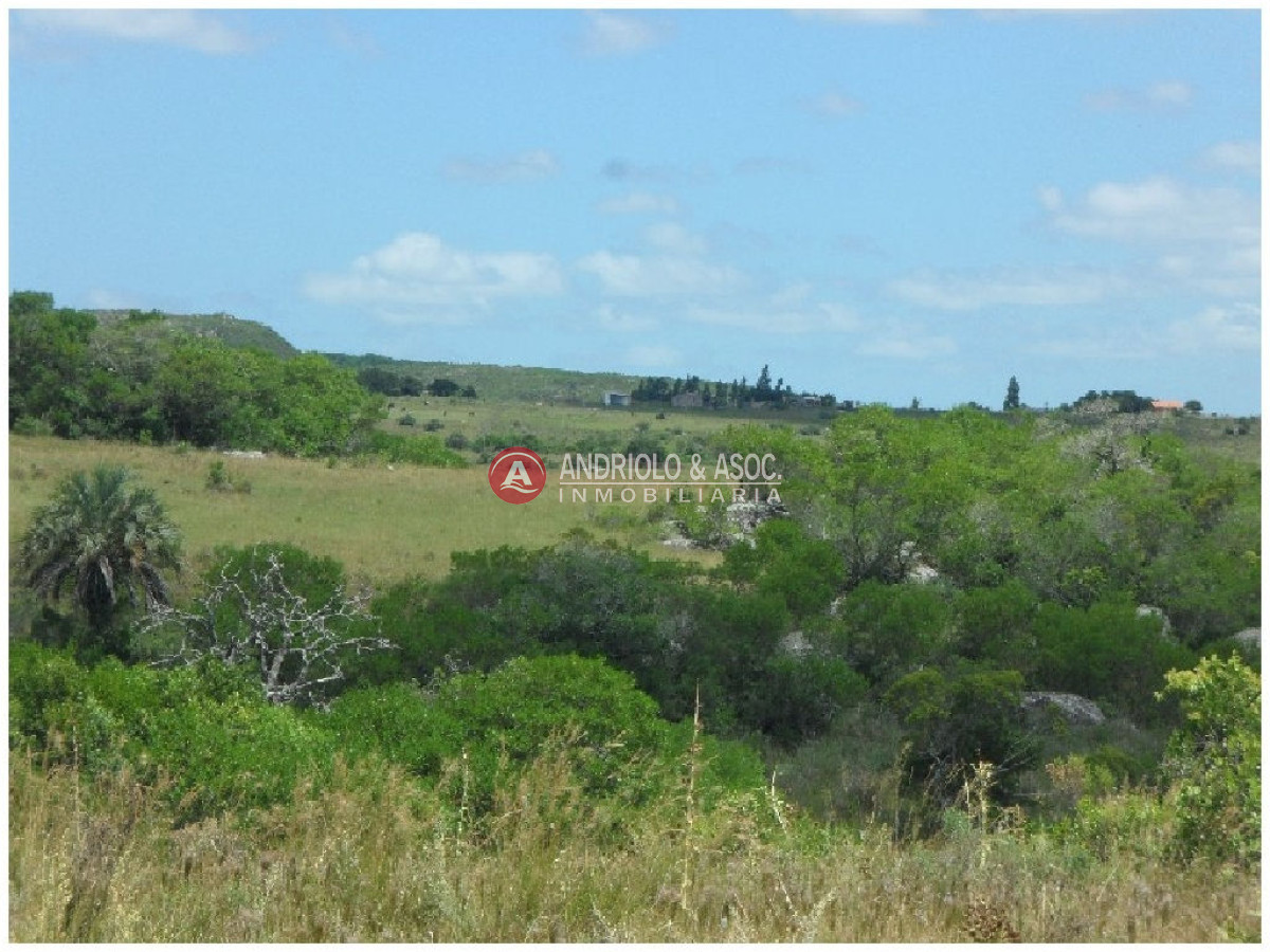 Campo Ref.6232 - Campo en Punta del Este, 