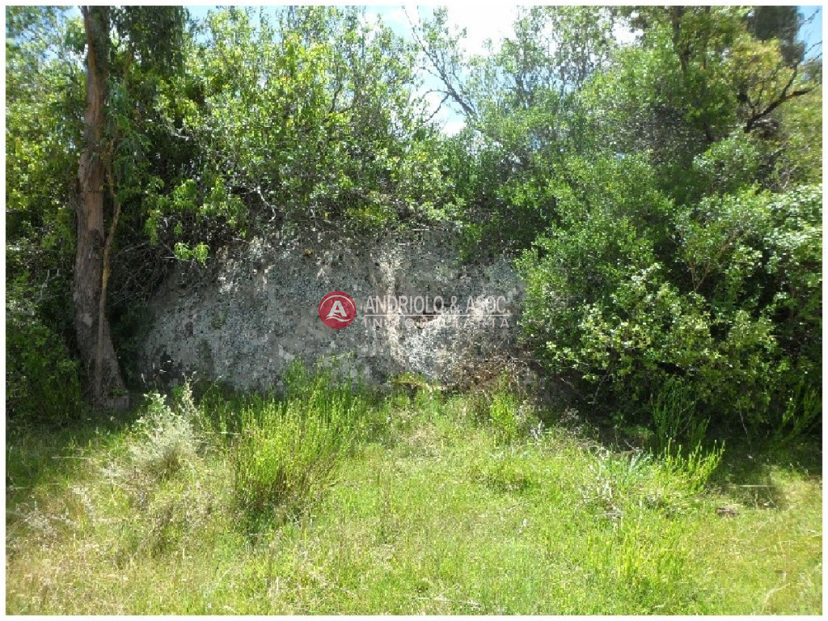 Campo Ref.6232 - Campo en Punta del Este, 