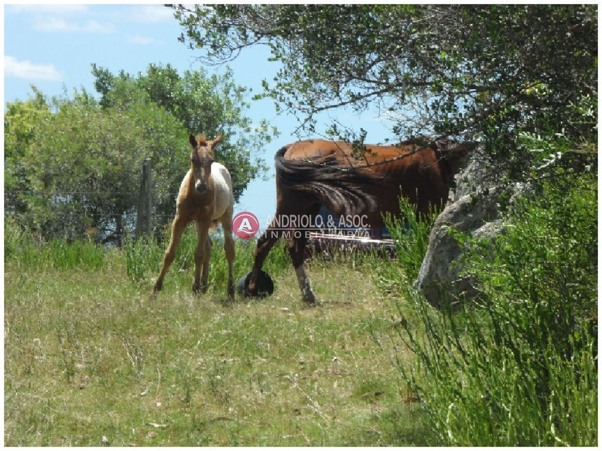 Campo Ref.6232 - Campo en Punta del Este, 
