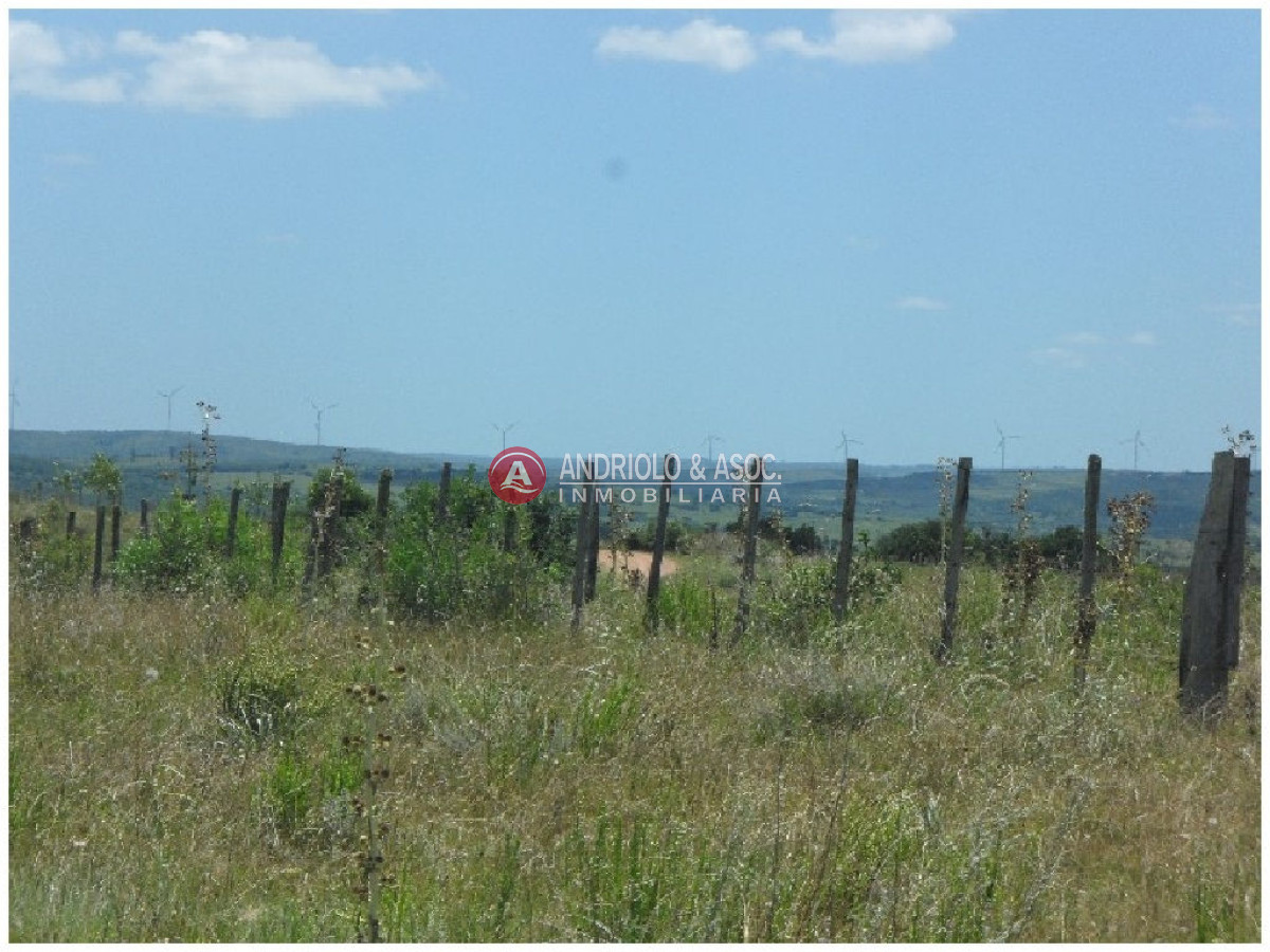Campo Ref.6232 - Campo en Punta del Este, 