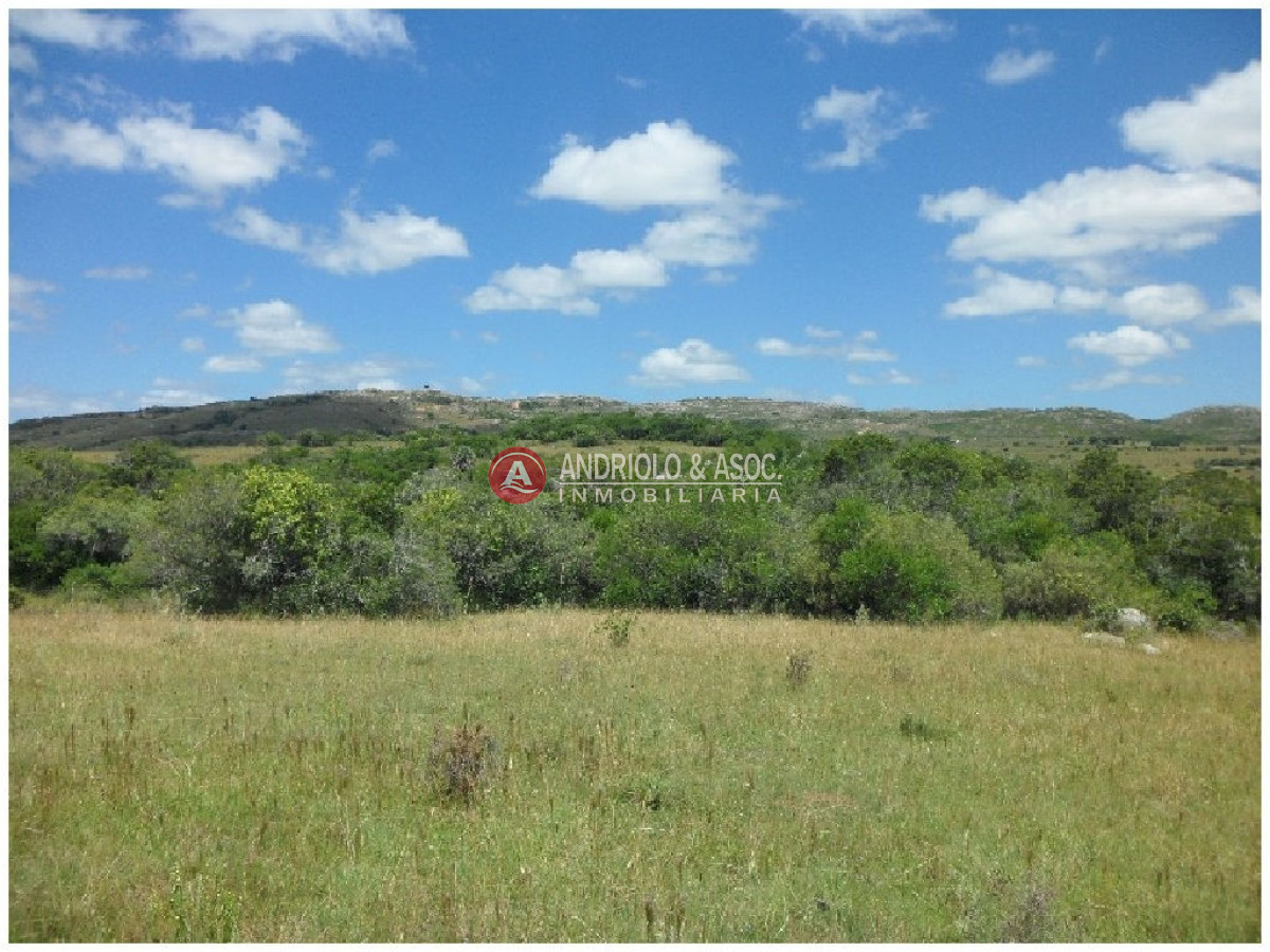 Campo Ref.6232 - Campo en Punta del Este, 