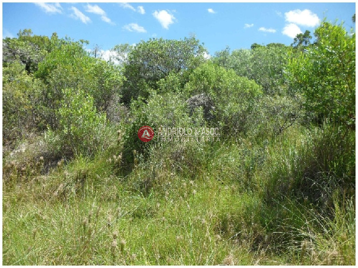 Campo Ref.6232 - Campo en Punta del Este, 